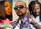 Sean Paul Wants To Collaborate With Stalk Ashley and Gyptian